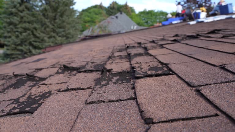 Best Roof Ventilation Installation  in USA